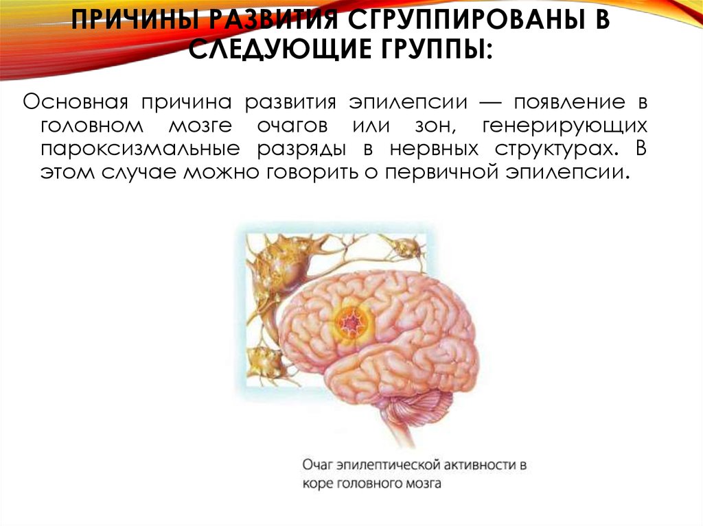 Причины развития мозга