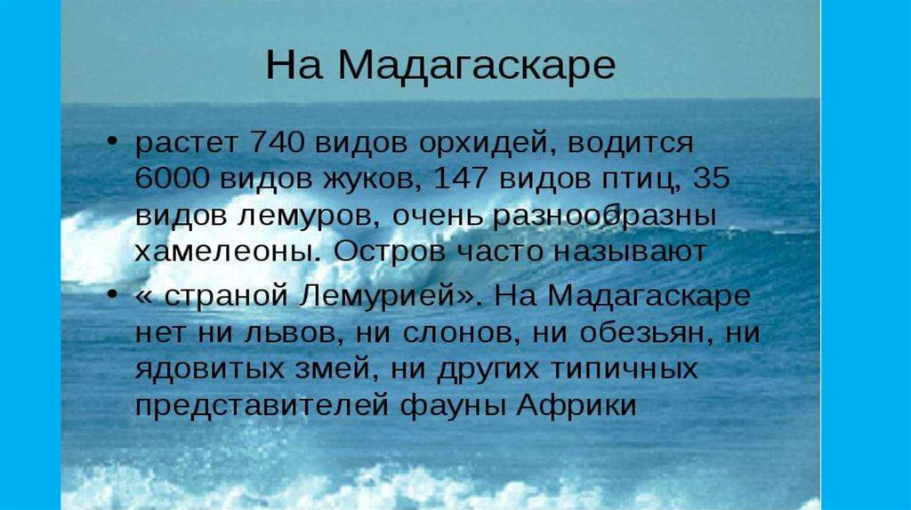 Остров мадагаскар проект