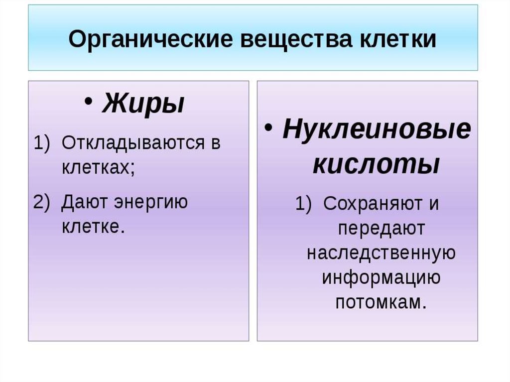 Химический состав клетки презентация