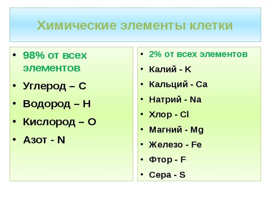 Химический состав клетки схема 5 класс