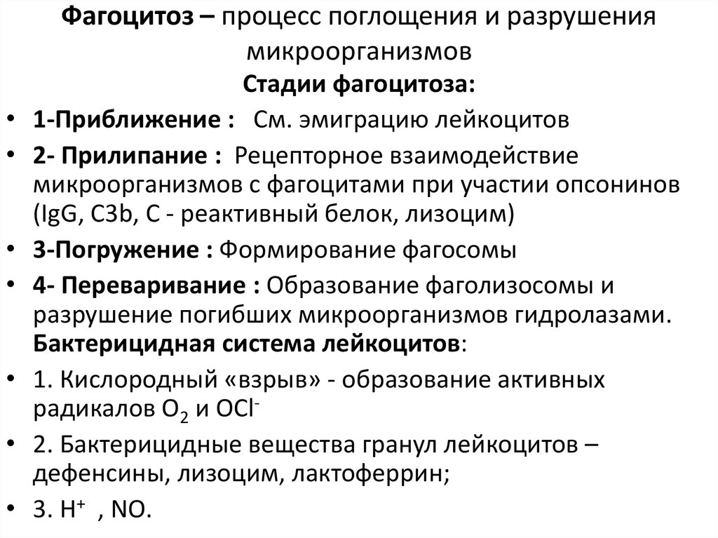 Процесс поглощения. Процесс фагоцитоза. Фагоцитоз это процесс поглощения. Стадии фагоцитоза микроорганизмов. Фагоцитоз последовательность процессов.