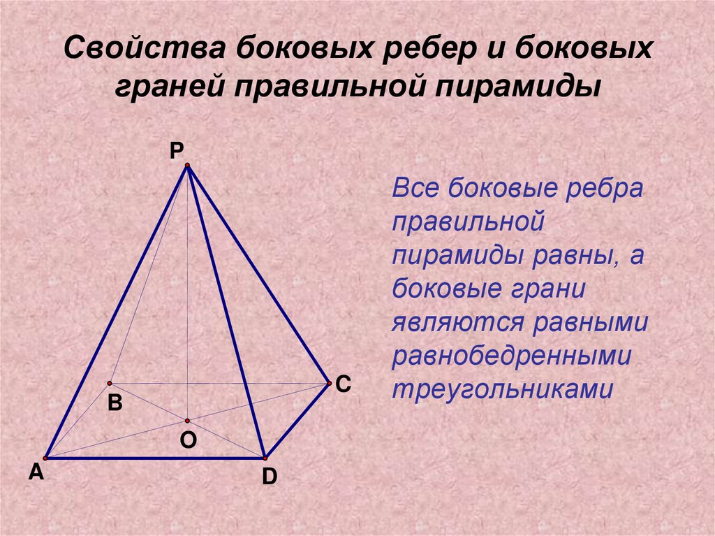 Сколько ребер имеет пирамида. У правильной пирамиды боковые ребра боковые грани. Боковое ребро правильной пирамиды. Грани и ребра пирамиды. Ребра пирамиды.