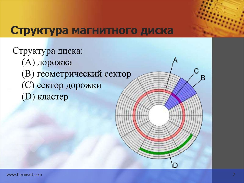 Пространство дисков. Структура сектора жесткого диска. Логическая структура жестких дисков. Структура магнитного диска. Диски. Логическая структура жесткого диска.