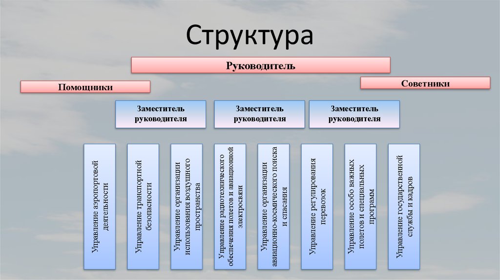 Федеральное агентство воздушного транспорта руководство