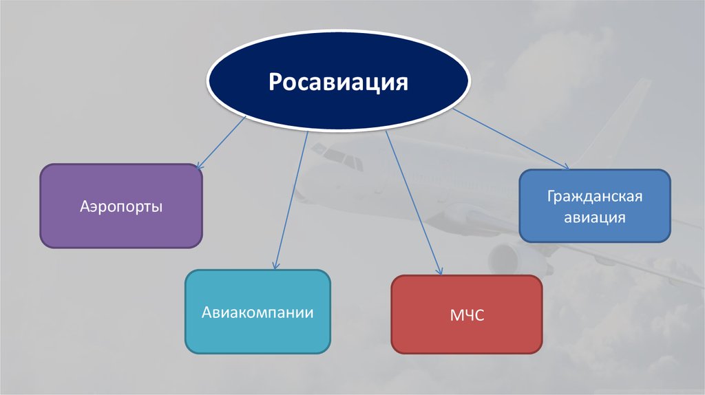 Федеральное агентство воздушного транспорта руководство