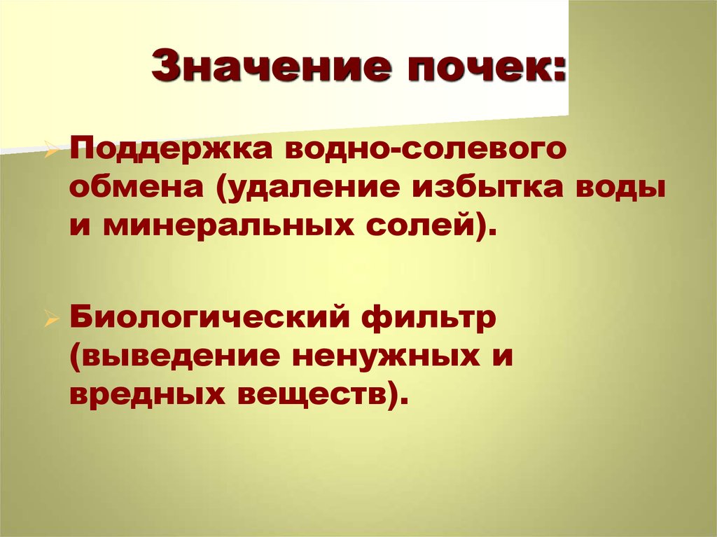 Значимая информация в презентации выделяется с помощью