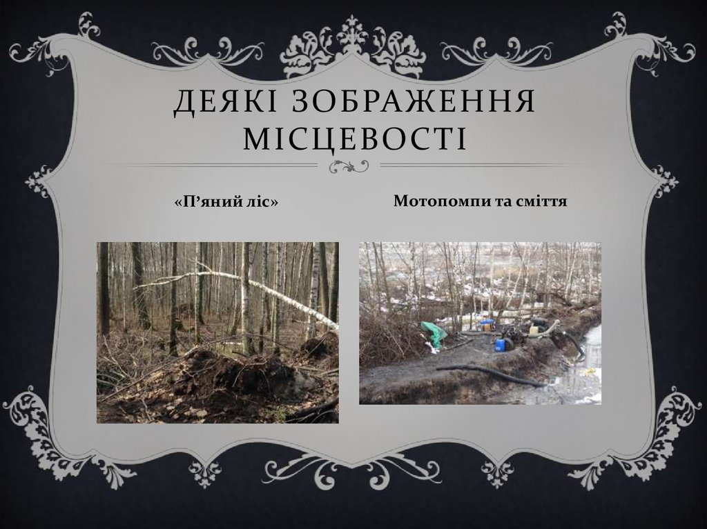 Деякі зображення місцевості