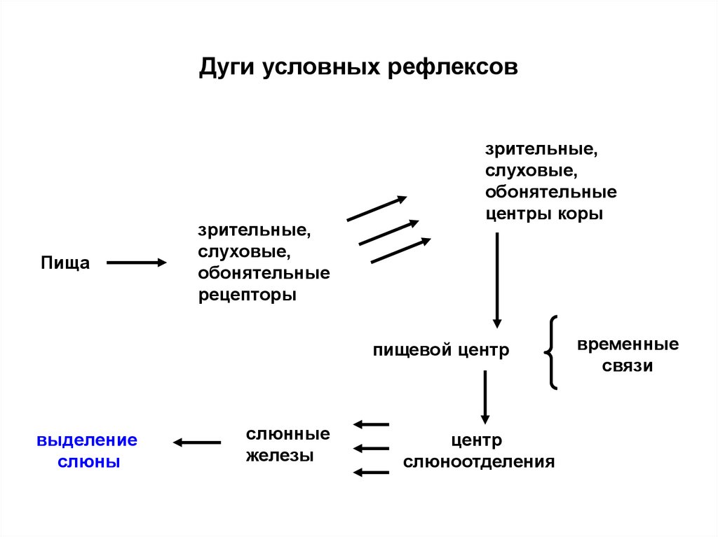 Самая простая форма приобретенного поведения