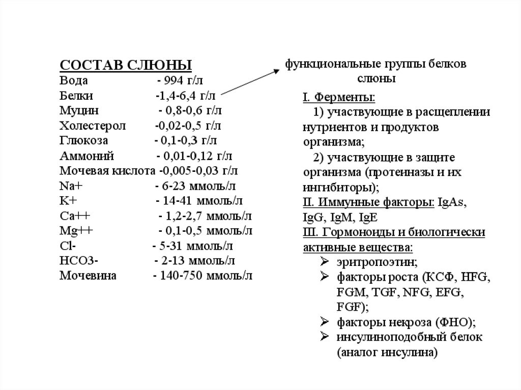 Функции слюны расщепление. Функции слюны. Белки слюны и их функции.