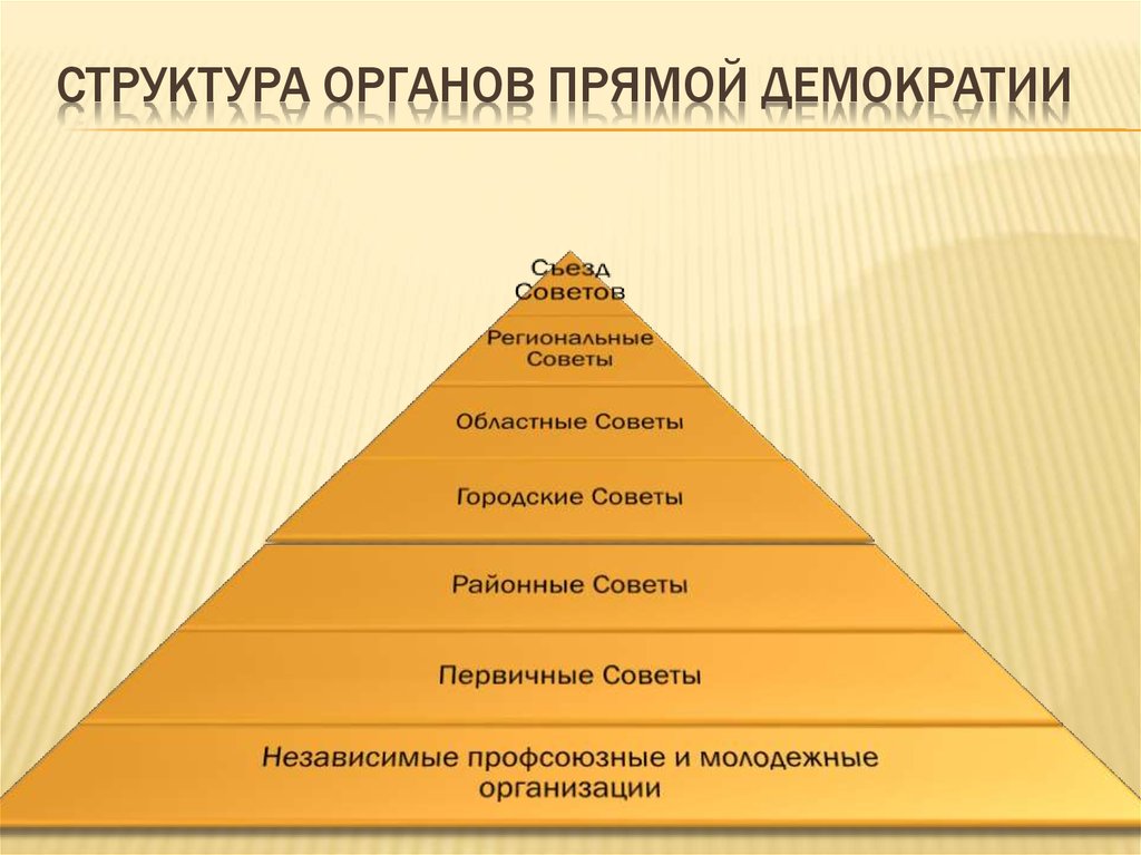 Структура органов прямой демократии