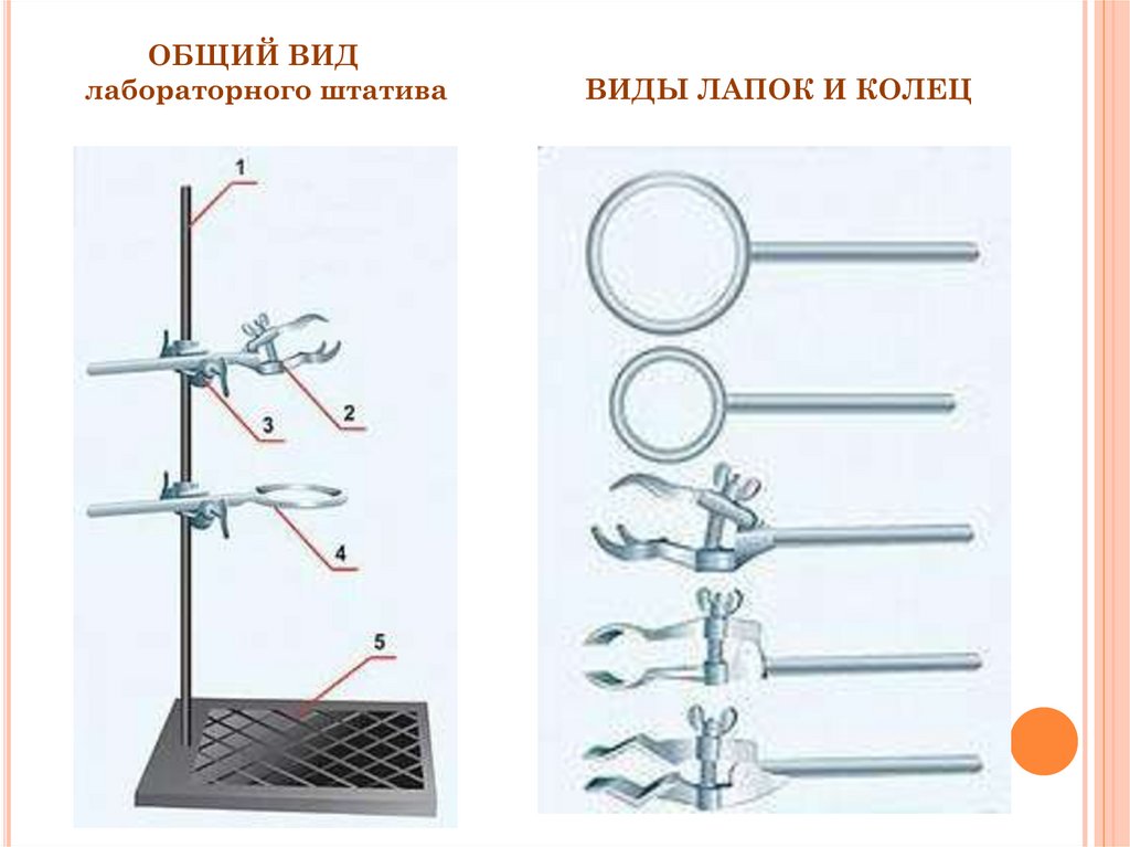 Схема кольца с лапкой