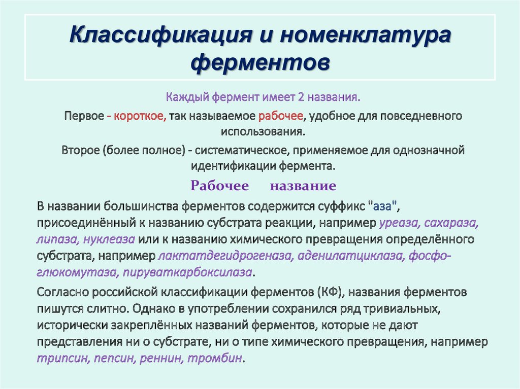 Классификация ферментов картинки