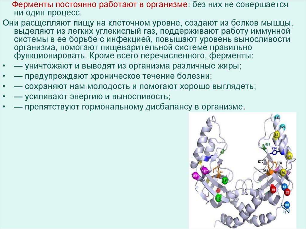 Ферменты и их роль в организме человека презентация 8 класс пасечник линия жизни