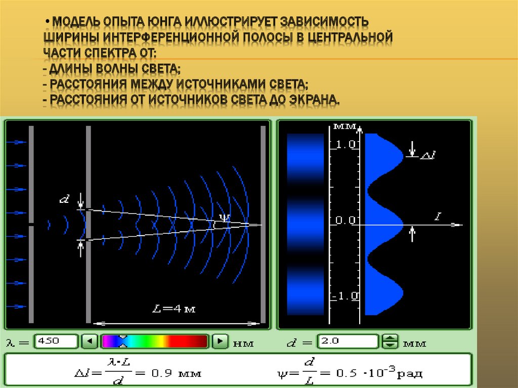 Модель опыта Юнга иллюстрирует зависимость ширины интерференционной полосы в центральной части спектра от: - длины волны света;
