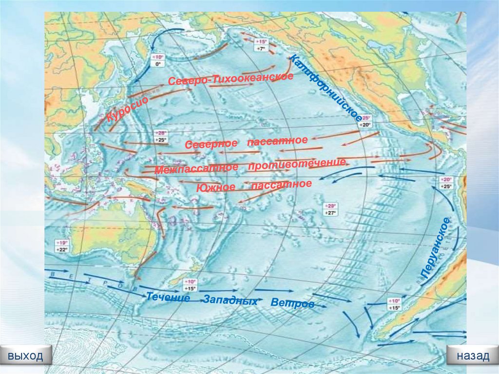 Калифорнийское течение холодное. Течения Тихого океана Куросио. Течение Куросио, перуанское течение. Течение западных ветров на карте Тихого океана. Южная Посадное течение в тихом океане.