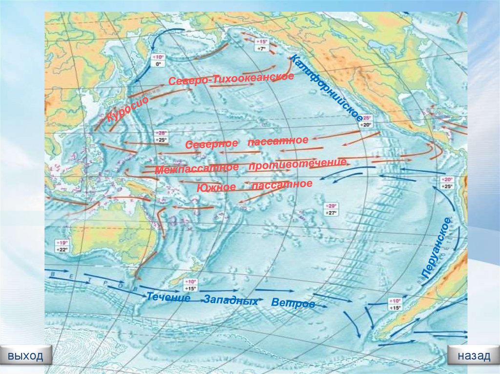 Особенности океанических течений. Северо Тихоокеанское течение на карте. Куросио течения Тихого океана. Течение Куросио, перуанское течение. Течения Аляскинское Куросио.