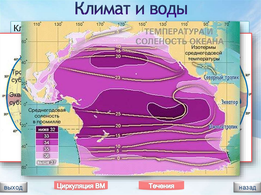 Соленость в северных тропиках. Тихий океан температура поверхностных вод и соленость. Карта солености Тихого океана. Средняя соленость Тихого океана. Солёность воды Тихого океана.