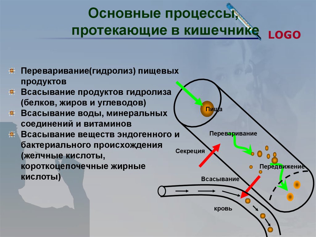 Какие процессы протекают