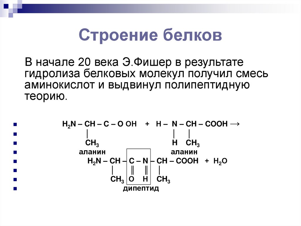 Какие продукты образуются при гидролизе белков приведите схему гидролиза белка