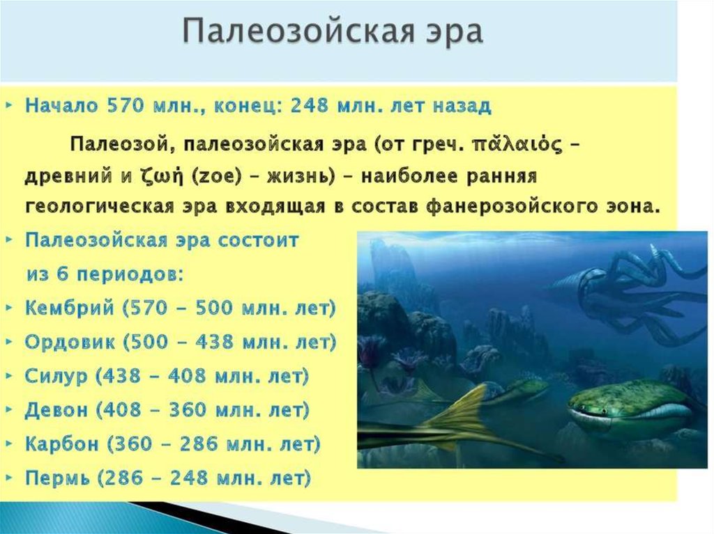 Презентация про палеозойскую эру по биологии