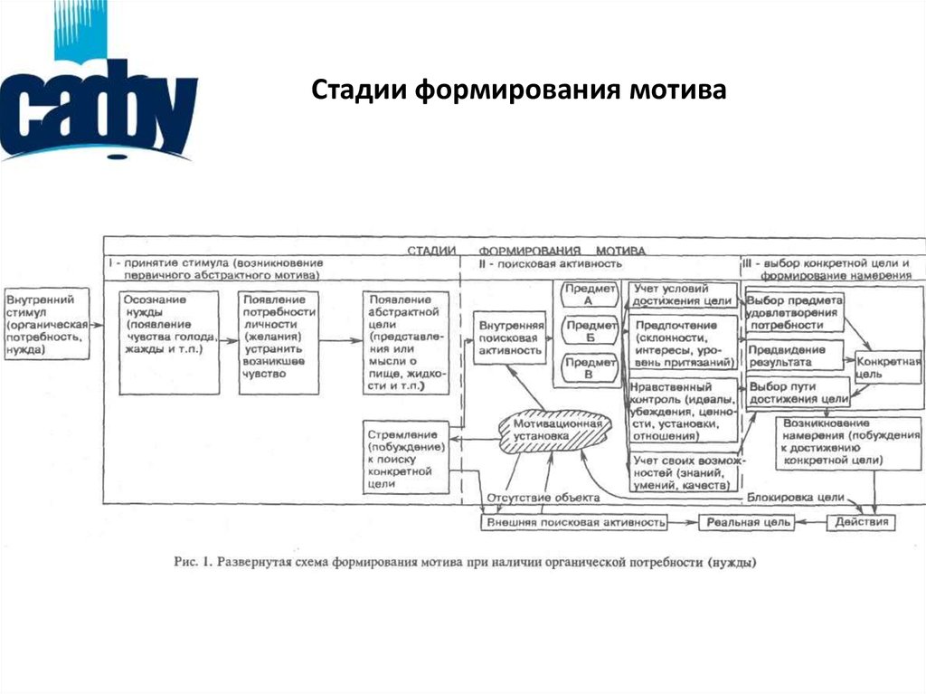 Мотивы формируются. Стадии формирования мотива. Стадии формирования мотива по е.п Ильину. Развернутая схема развития формирования мотива. Концепция е п Ильина.