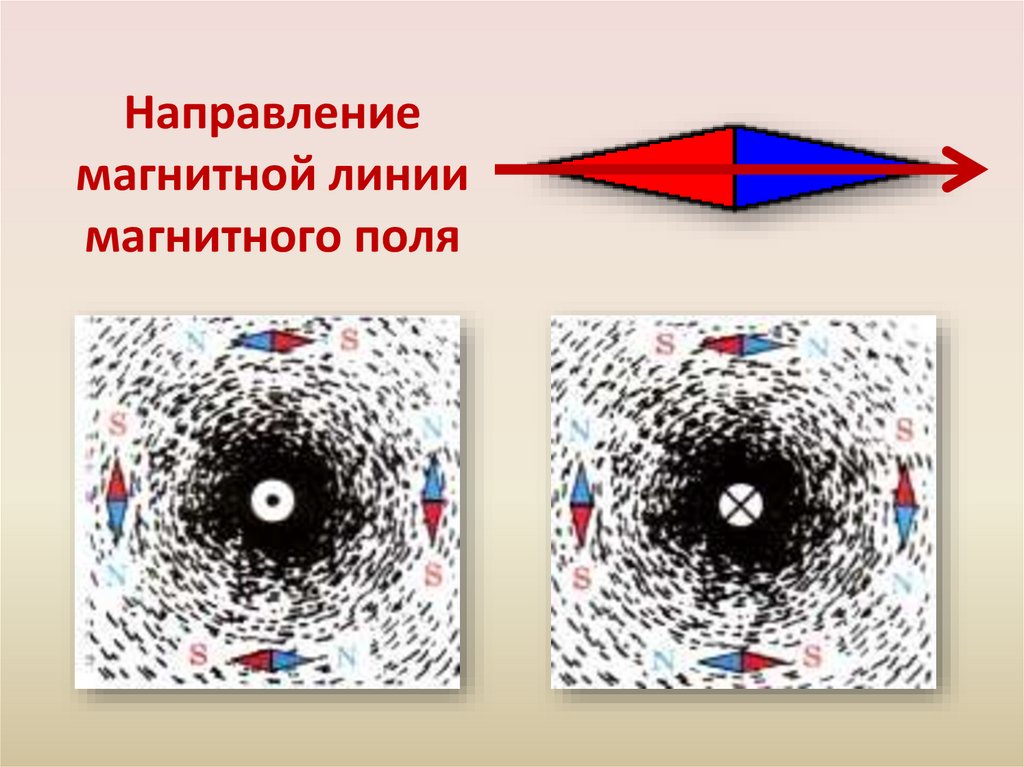 Направление магнитных линий магнитного поля тока. Направление линий магнитного поля магнита. Магнитное поле направление линий магнитного поля. Направление магнитных лишний. Направление силовых линий магнитного поля.