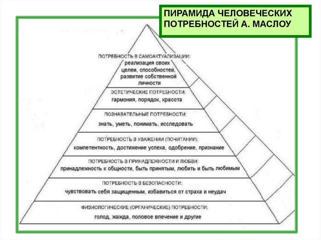 Проект эволюция человеческих потребностей