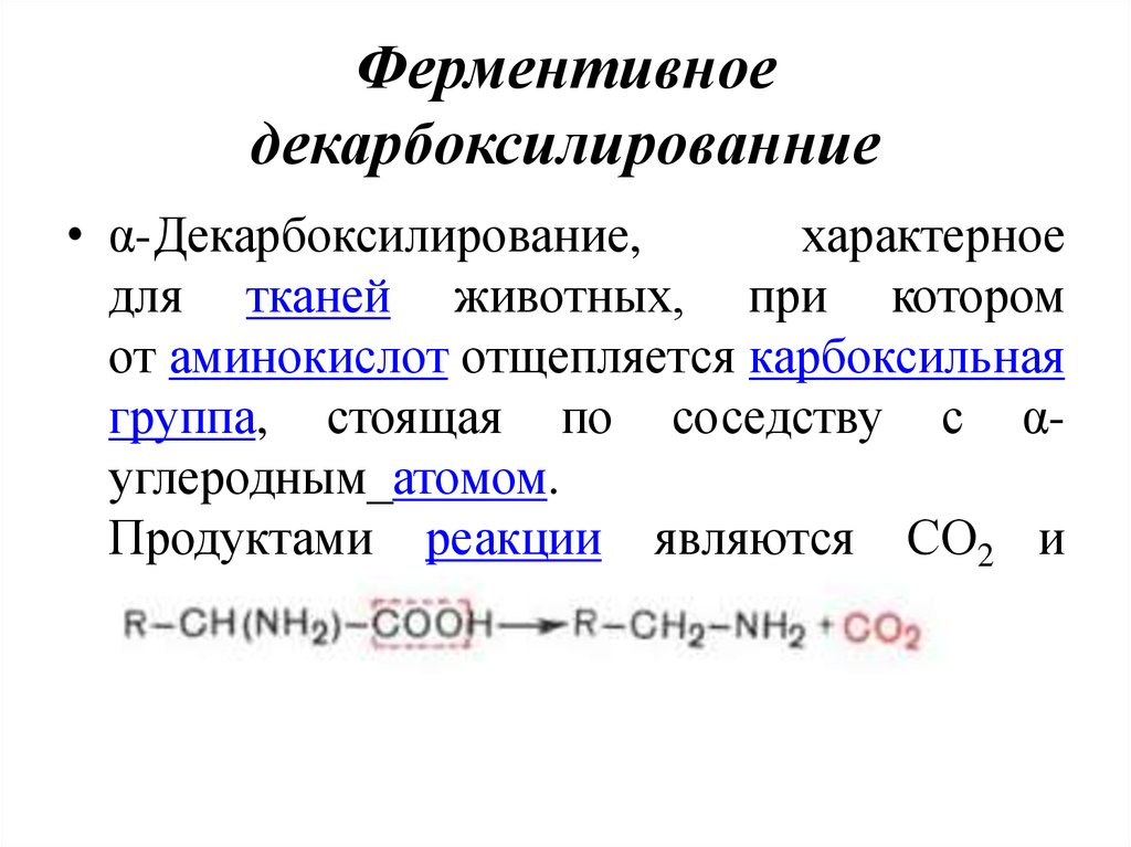 Реакция обмен кислот. Ферментивная катаминис.