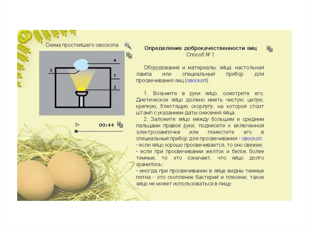 Оценка качества яиц. Прибор для определения доброкачественности яиц. Прибор для измерения свежести яиц. Определение доброкачественности яиц. Методы исследования яиц.