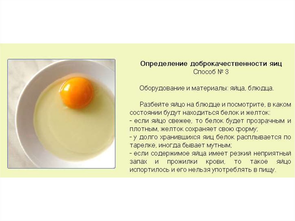 Определение доброкачественности овощей. Презентация яйцо и яичные продукты. Презентация яйца и яйцепродукты. Яйцо и продукты его переработки. Продукты переработки яиц.