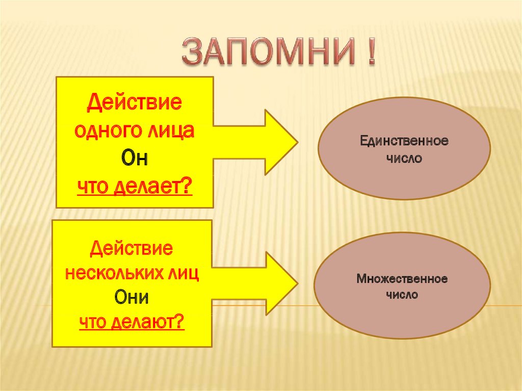 Единство число. Единственное и множественное число глаголов 2 класс. Изменение глаголов по числам конспект урока 3 класс. Единственное число что сделают?.