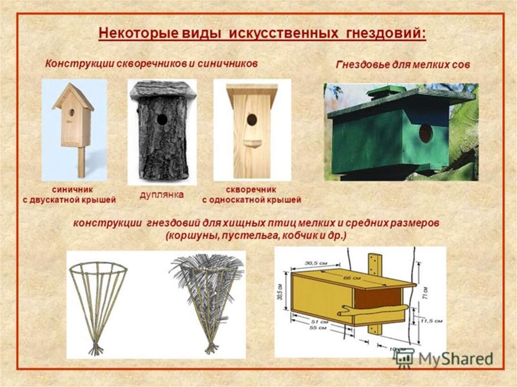 Презентация скворечник для птиц