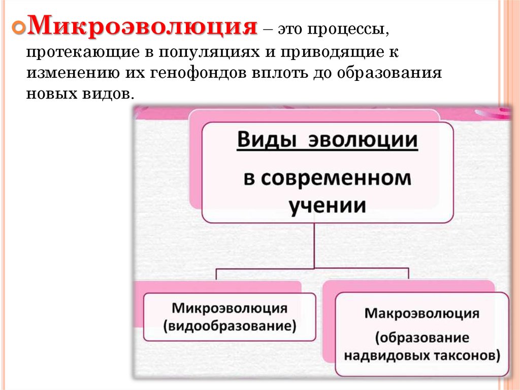 Тест по биологии микроэволюция