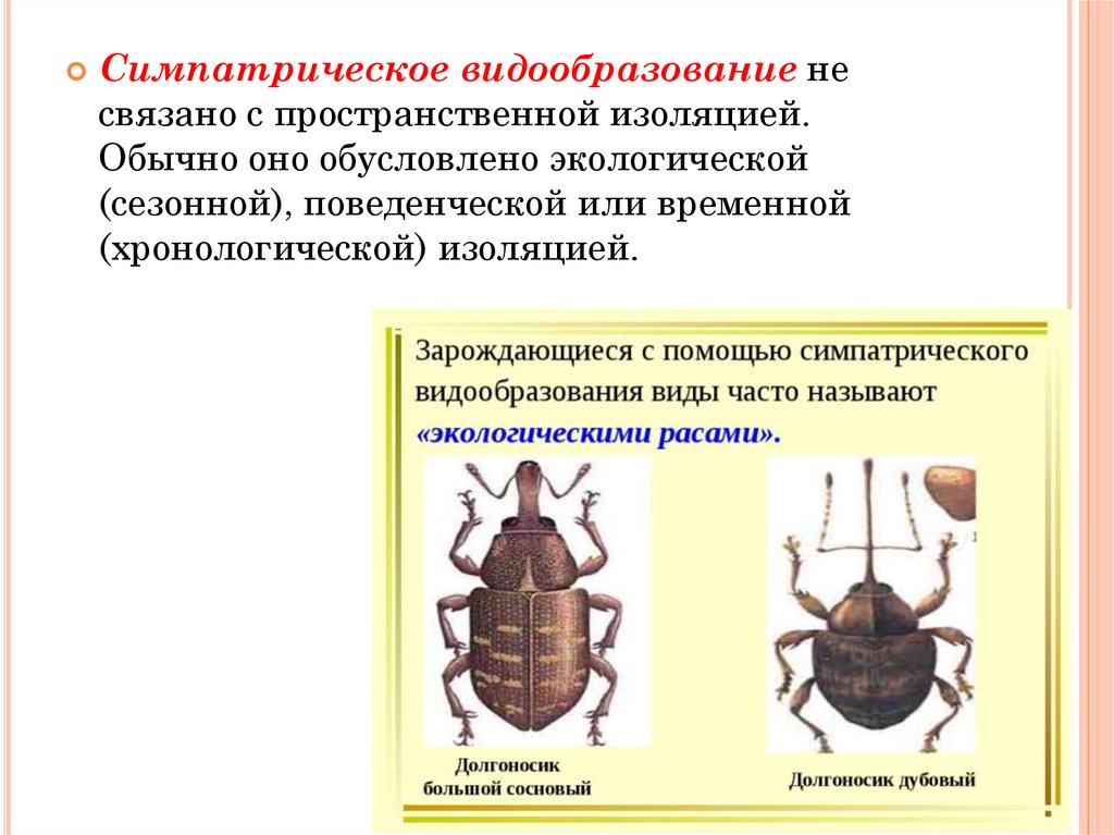 Презентация видообразование 10 класс пономарева - 95 фото