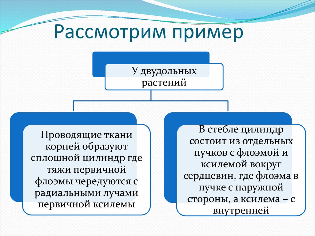 Рассмотрение образцов. Рассмотрим на примере. Предмет рассмотрения пример.