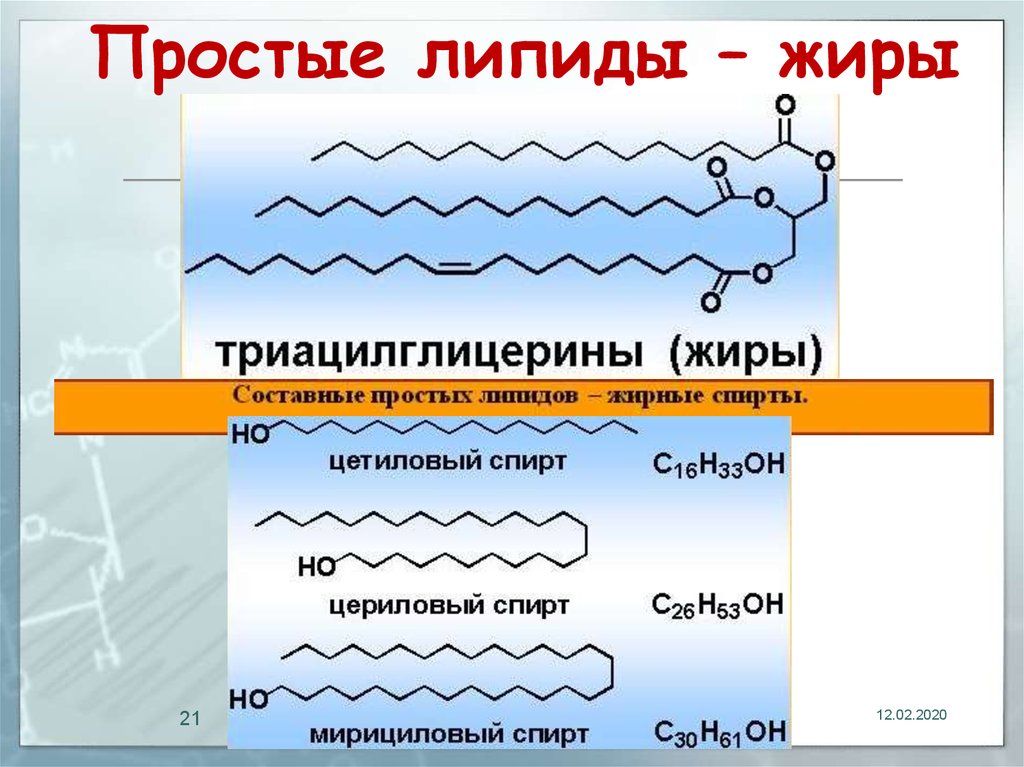 Вещества липидов