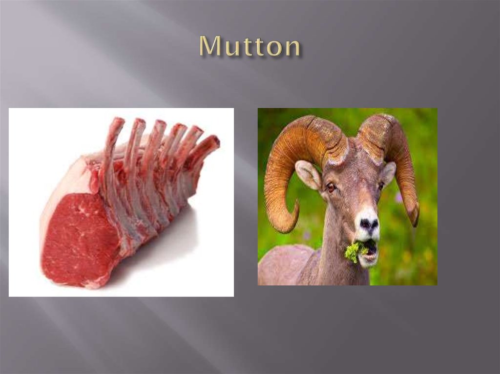 Mutton