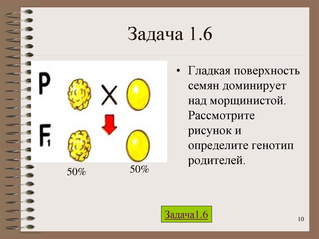 У гороха желтая окраска семян а доминирует. Задачи по биологии на генетику про горох. Задачи по генетике про горох. Гладкая поверхность семян доминирует над морщинистой. Задачи по генетике гладкие морщинистые.