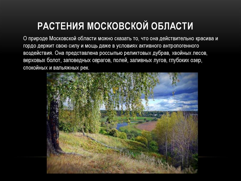 Растения Московской области