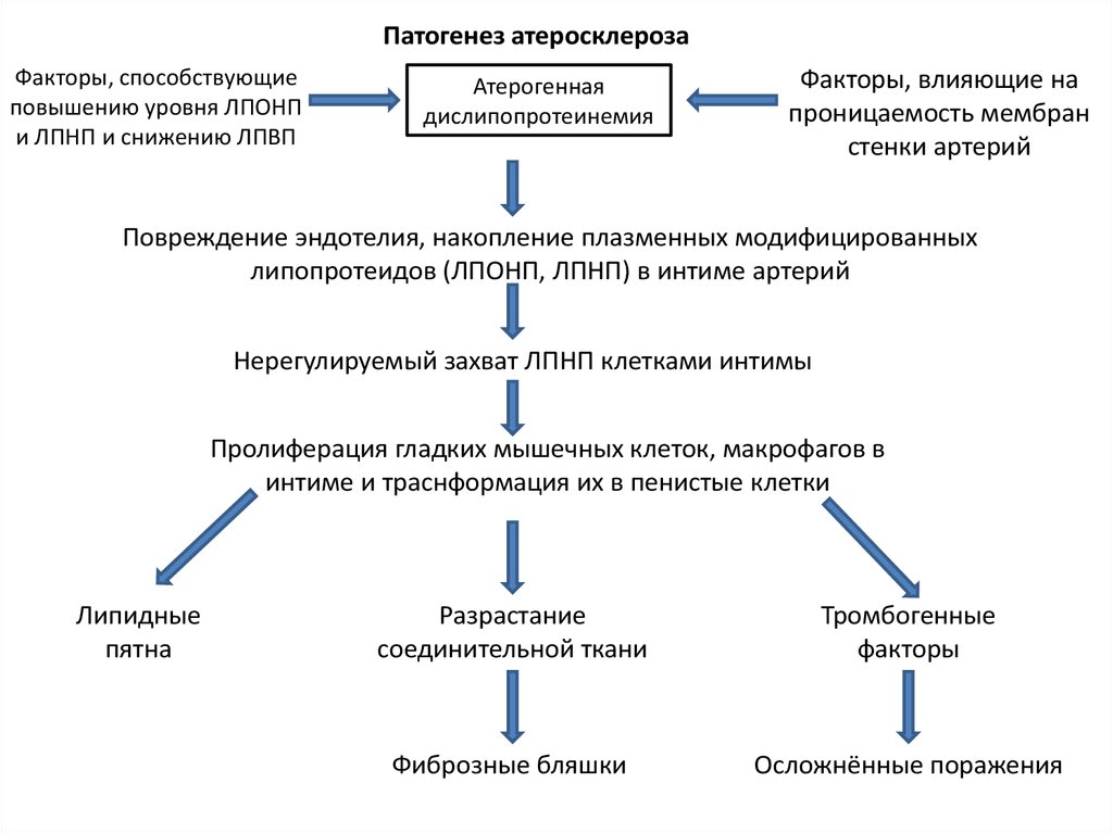 Теории патогенеза атеросклероза. Биохимические механизмы развития атеросклероза. Тромбогенная теория развития атеросклероза.