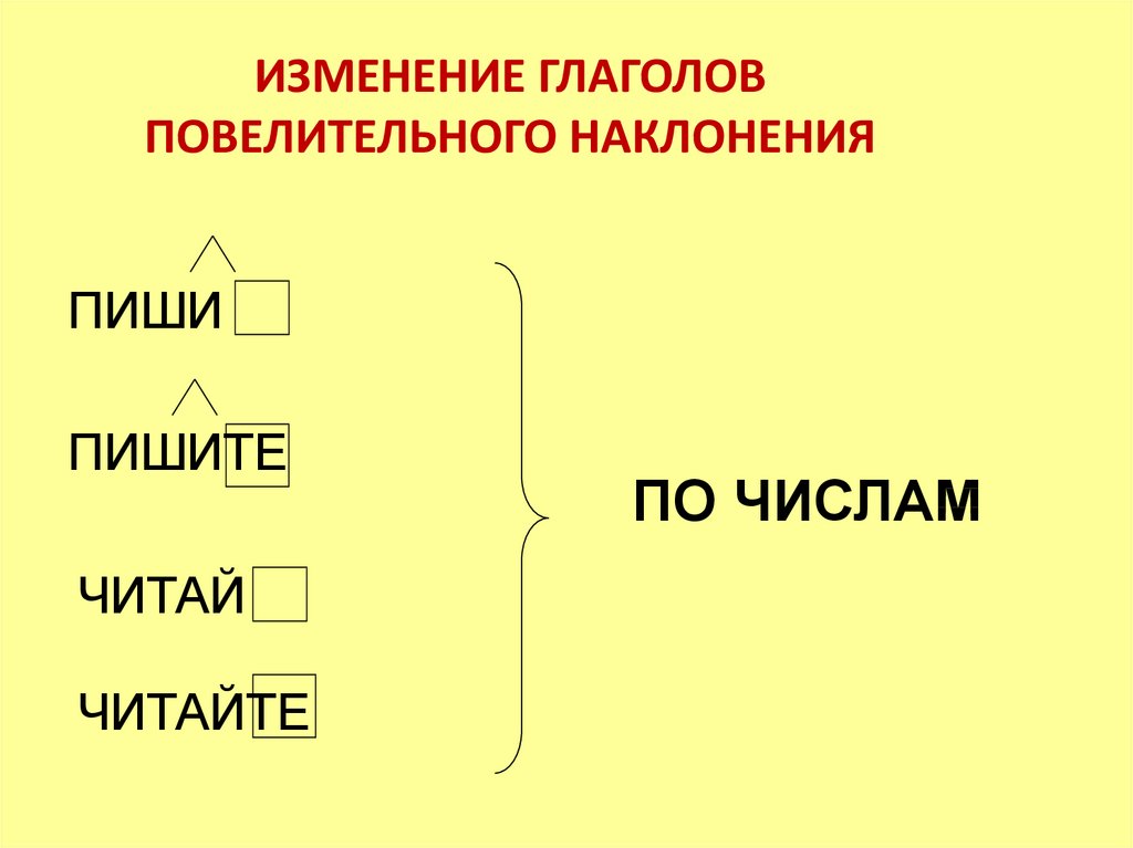 Глаголы 2 лица изъявительного наклонения