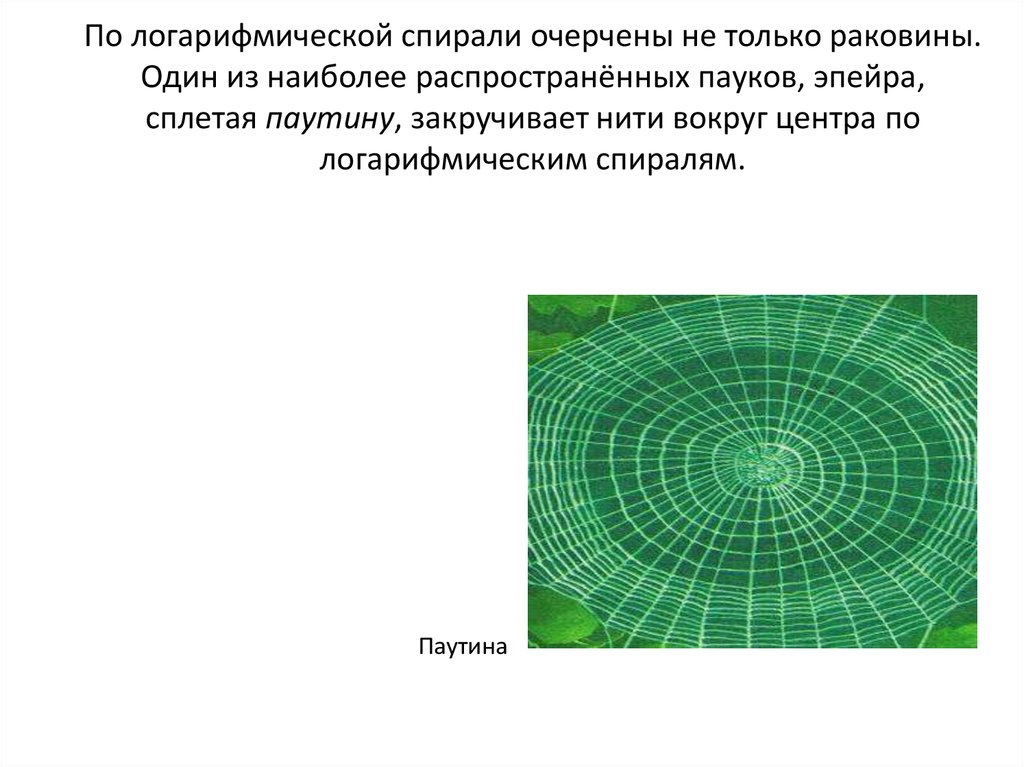 Обратная связь в коллективе осуществляется по схеме