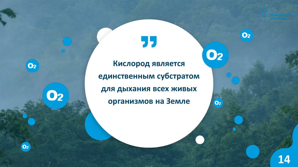 Кислород 14. 94 % Кислород является медицинским?.