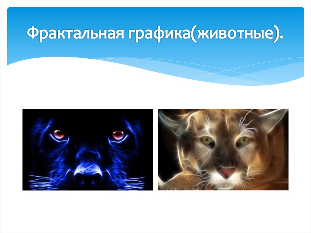 Режим питомцев. Компьютерная Графика и анимация. Компьютерная анимация доклад. Виды и методы компьютерной графики и анимации проект. Виды компьютерной анимации.