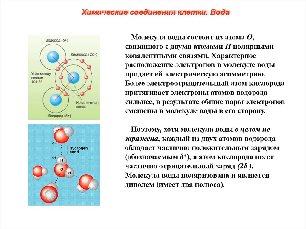 Два атома. Молекула воды электроны. Расположение атомов в молекуле воды. Сколько электронов в молекуле воды. Вода состоит из атомов.