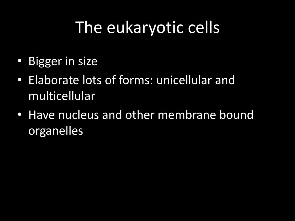 The eukaryotic cells