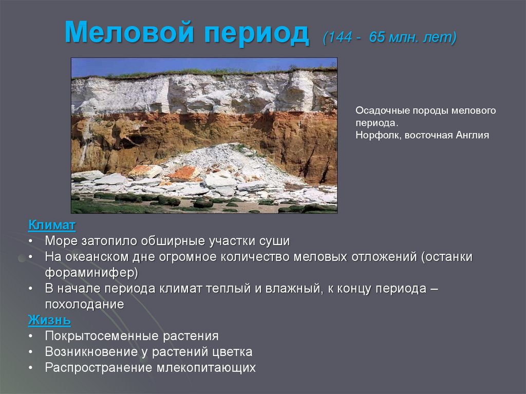 Условий в период. Климат мелового периода таблица. Мел Эра климат. Меловой период климат. Климат меловрй периода таблица.