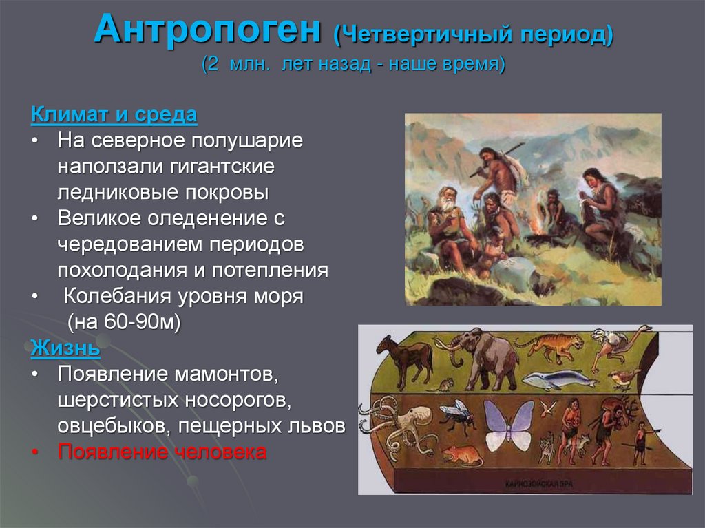 Период л. Антропоген презентация. Четвертичный антропогеновый период. Четвертичный период климат. Продолжительность антропогенного периода.