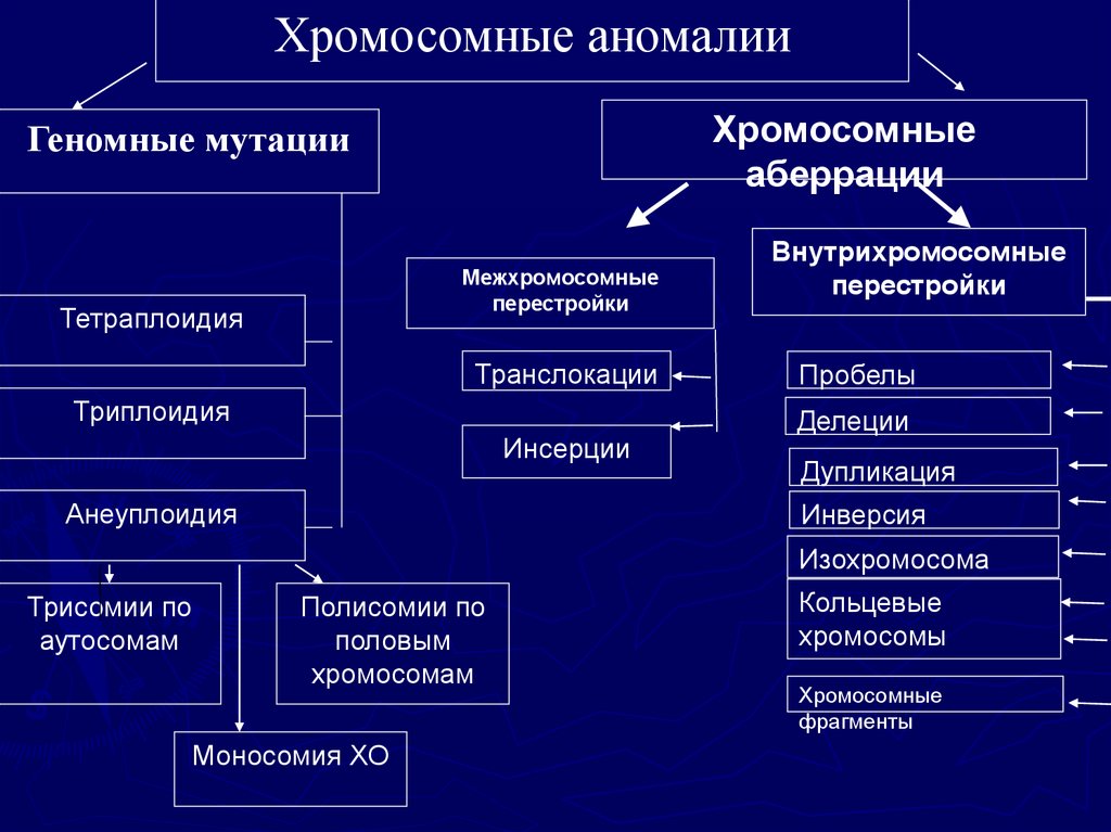 Типы наследования генетически обусловленных заболеваний