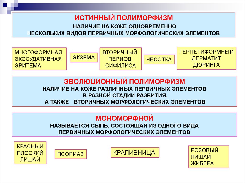 Общая дерматология презентация